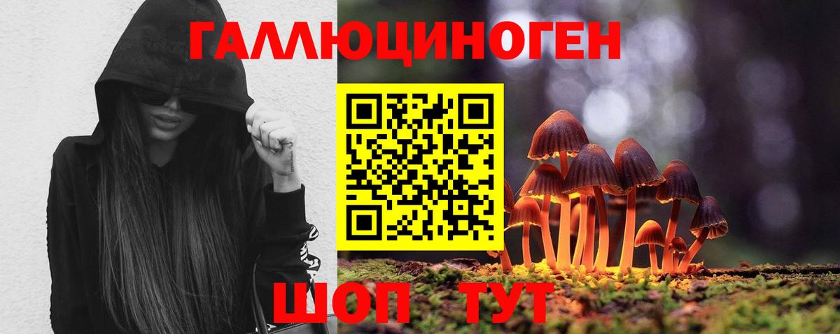 наркота  Псилоцибиновые грибы GOLDEN TEACHER  Галлюциногенные грибы мицелий  Вход с VPN  Красногорск 